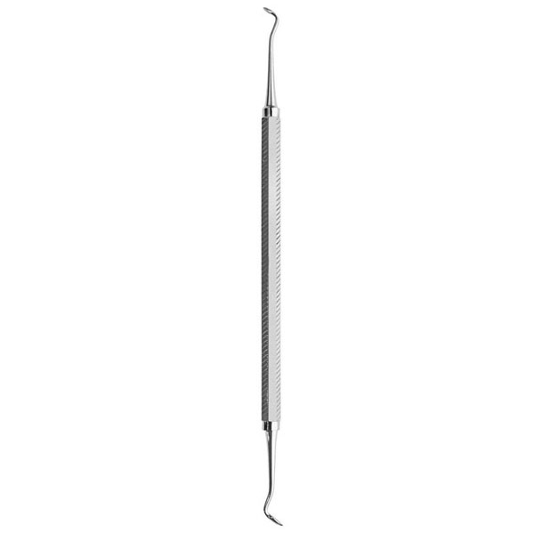 Cleoid Discoid #3/6 - Large